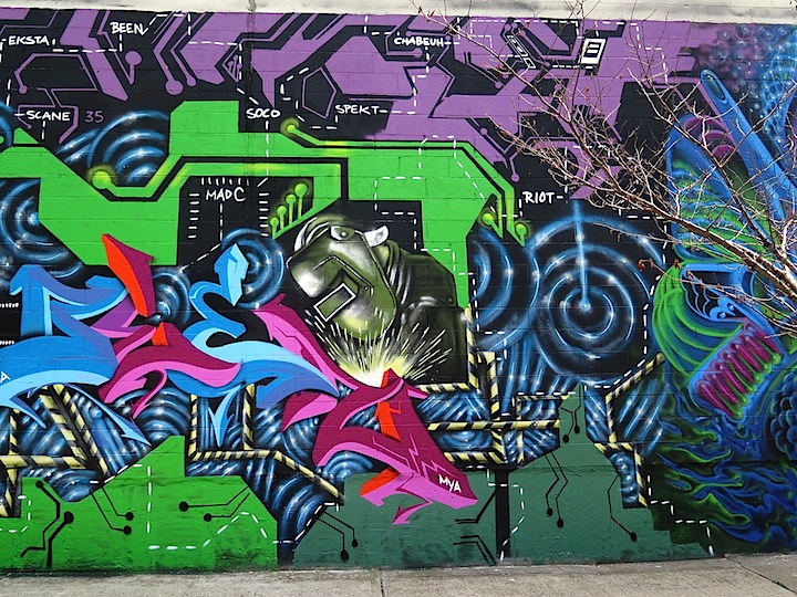 wallnuts-street-art-close-up-Gowanus