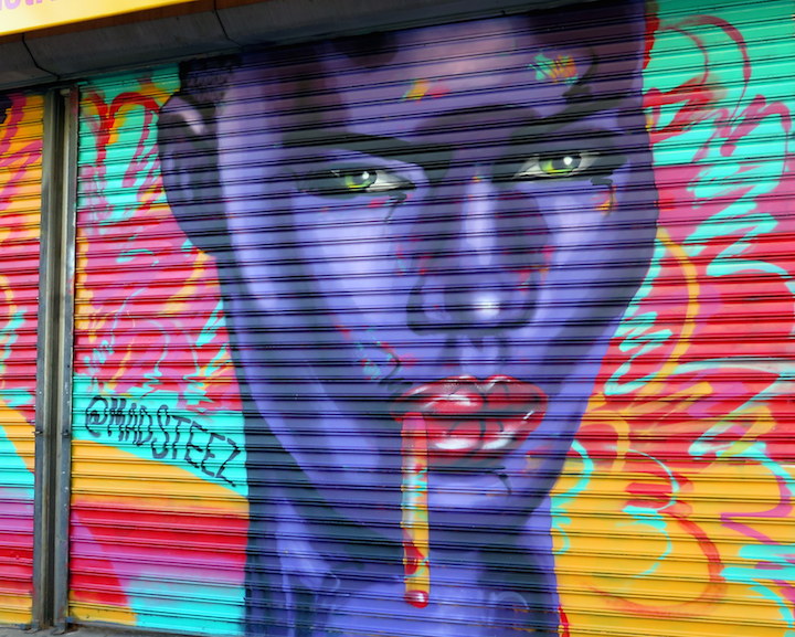 mad-steez-street-art-shutter-NYC