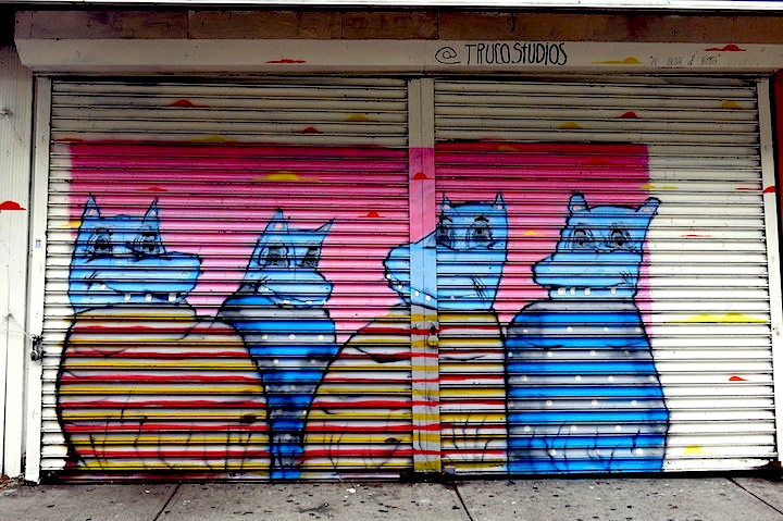 ramiro-davaro-street-art-shutter-nyc
