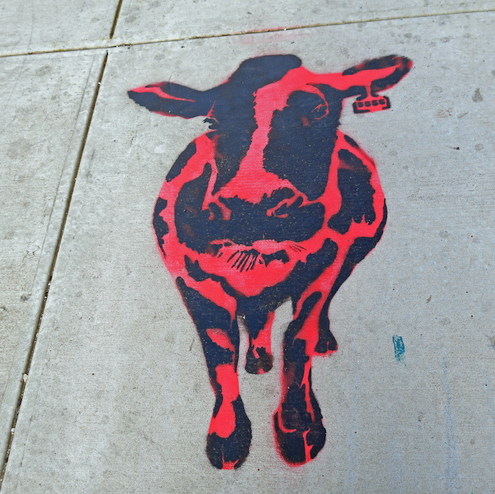 stencil-pavement-street-art-NYC