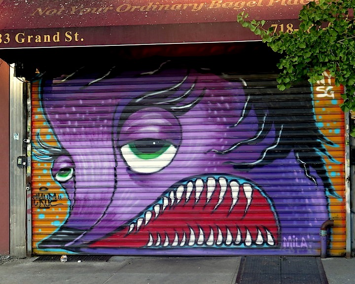 Cruz-street-art-williamsburg- NYC