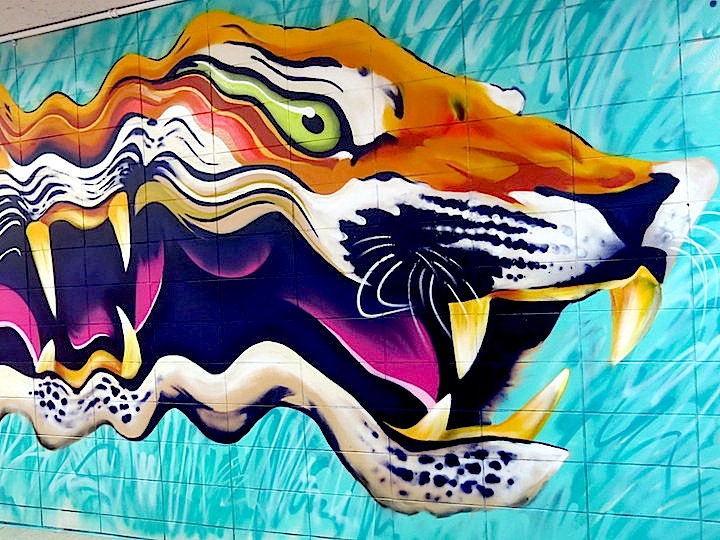 Cycle-close-up-graffiti-art-August-Martin-High-School