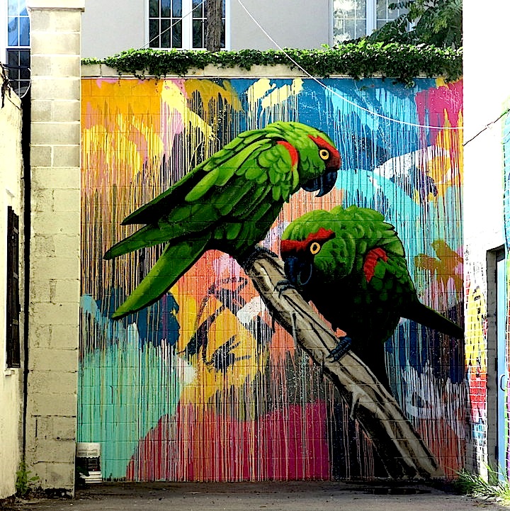 Geoffrey-Carran-and-Rowena-Martinich-street-art-mural-Project- brookLYNK-NYC