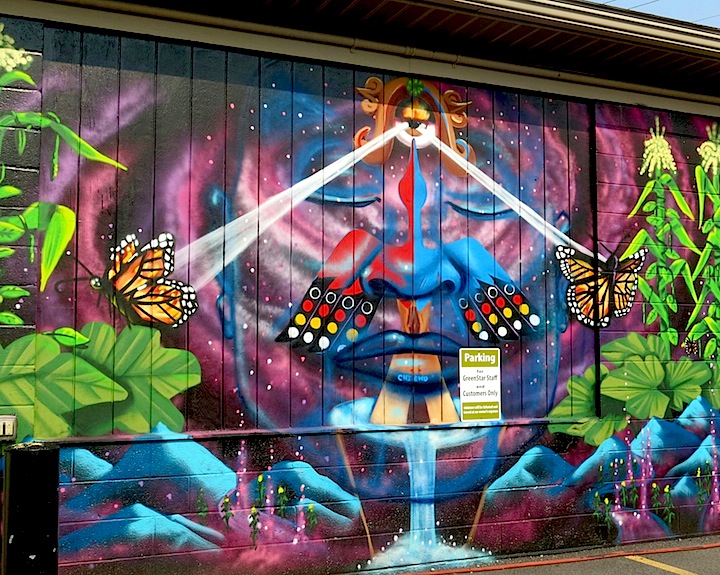 desi-street-art-ithaca-ny