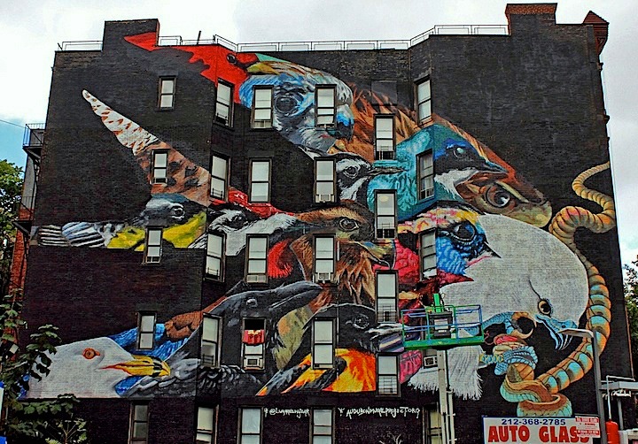 LNY-Audubon-Mural-Project-NYC