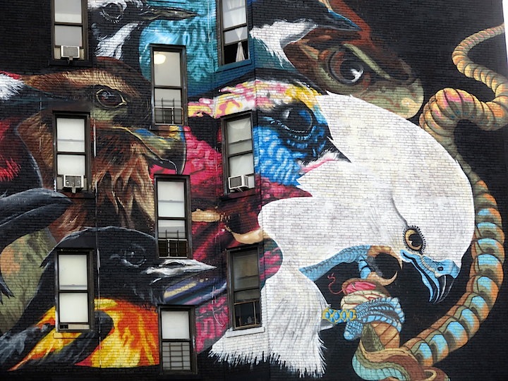 LNY-close-up-audubon-mural-project