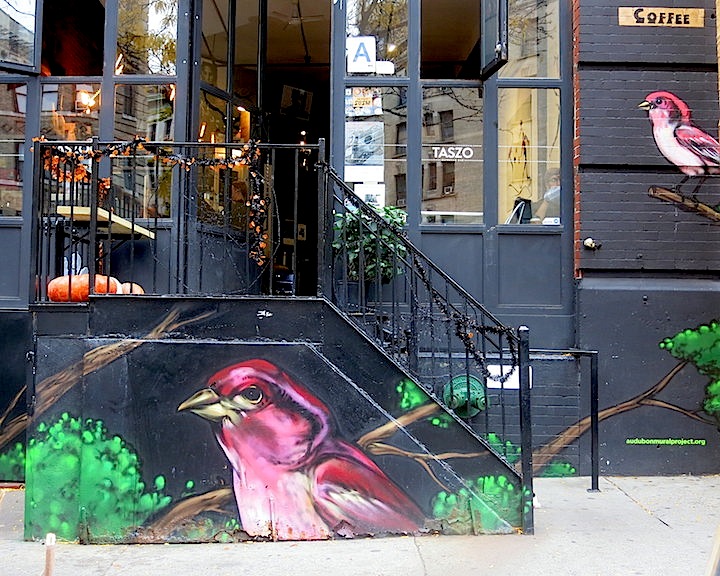 Mr-mustart-street-art-audubon-mural-project-nyc