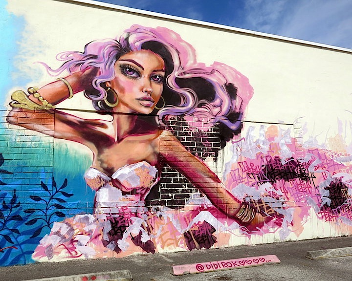 Didi-rok-street-art-hialeah-Miami