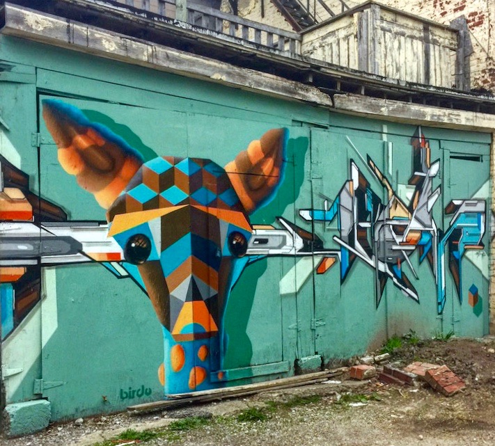 Birdo-street-art-and-graffiti