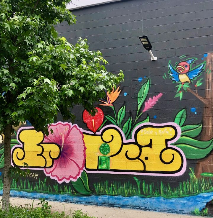 All Female Graffiti Crew Brings Colombian Vibes to East Tremont